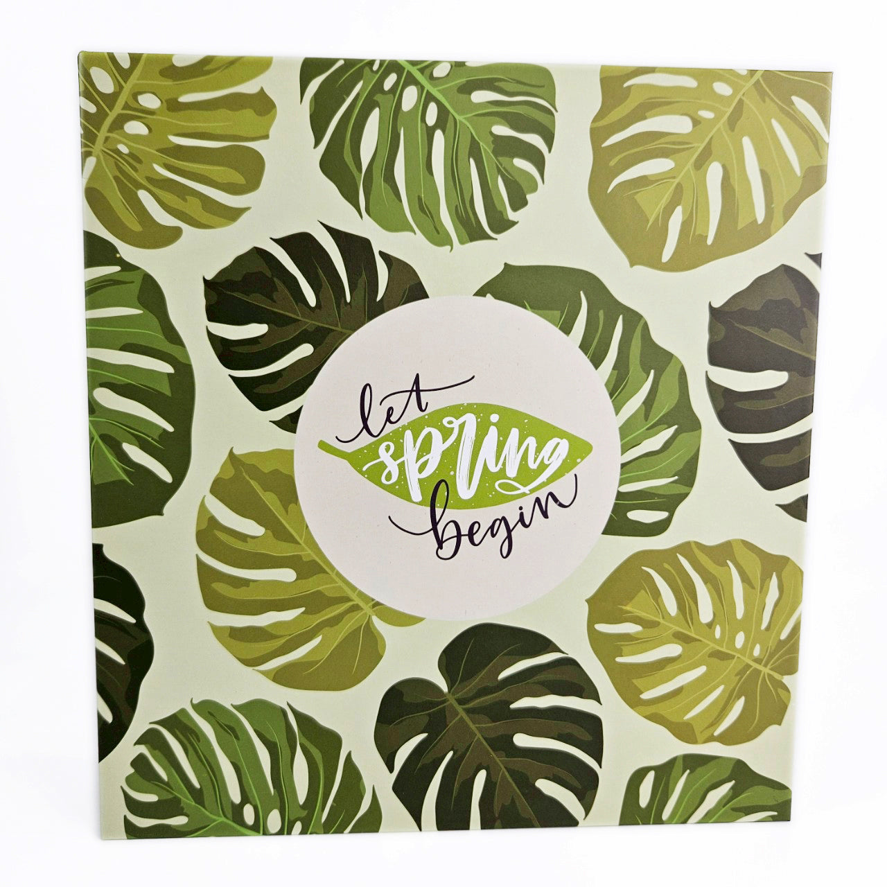 ปกอัลบั้มลาย Monstera