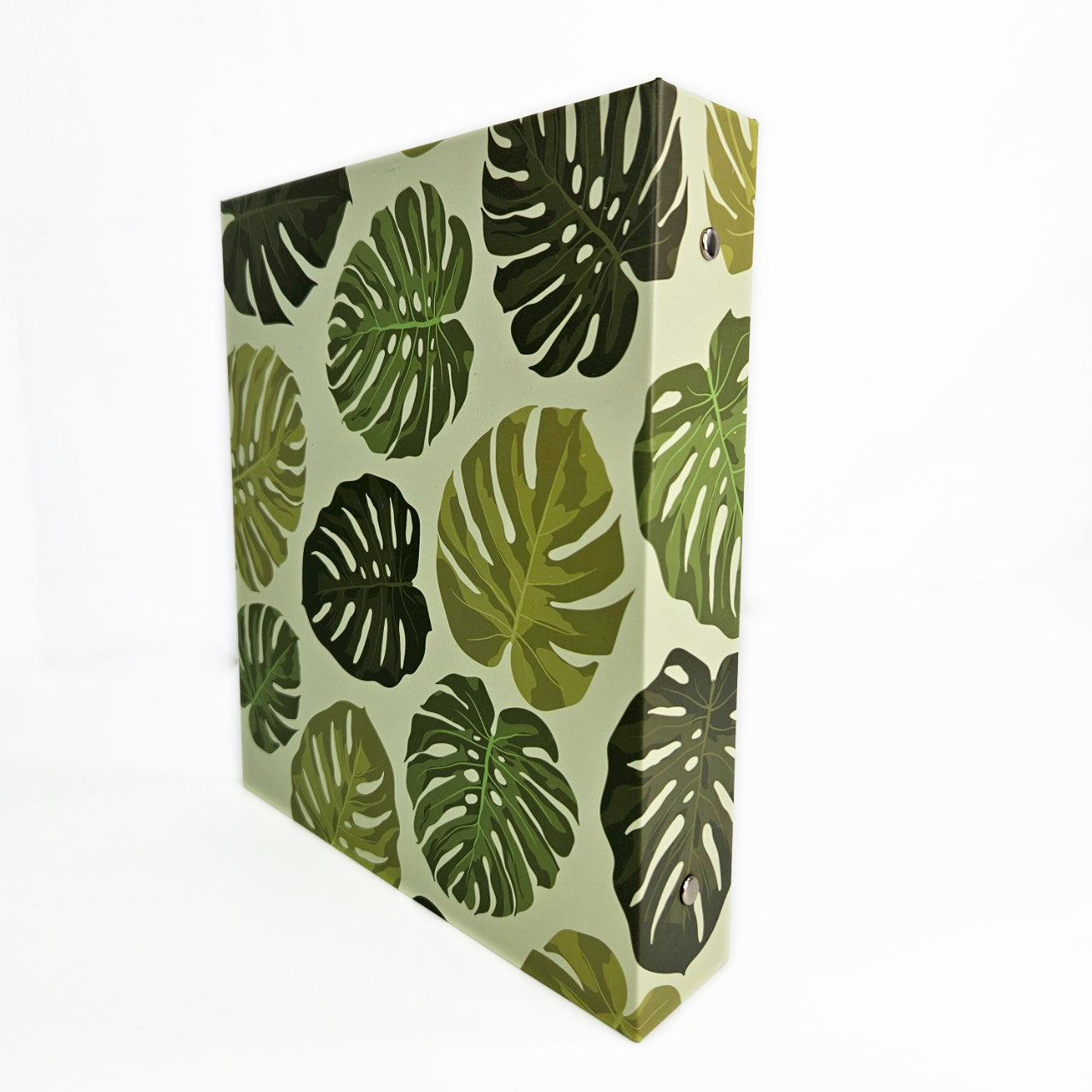 ปกอัลบั้มลาย Monstera