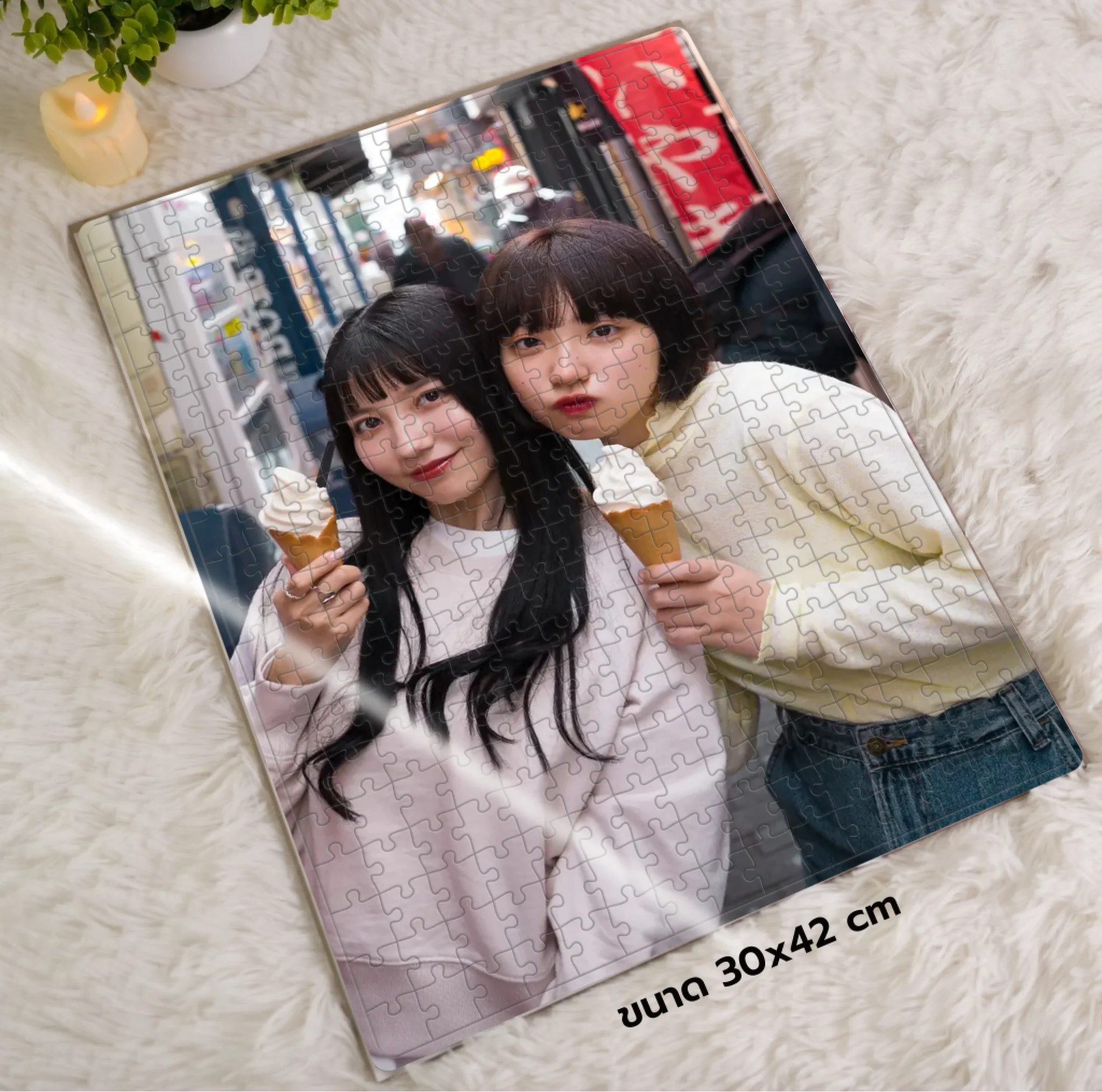 จิ๊กซอว์ภาพพิมพ์แบบ 300 ชิ้น