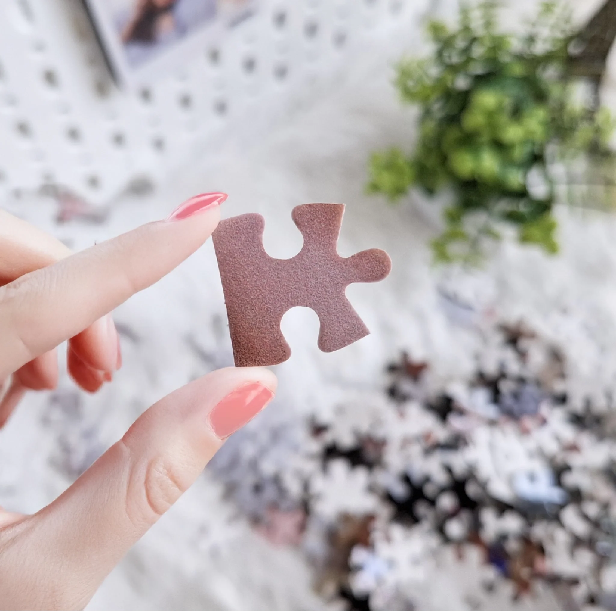 จิ๊กซอว์ภาพพิมพ์แบบ 300 ชิ้น