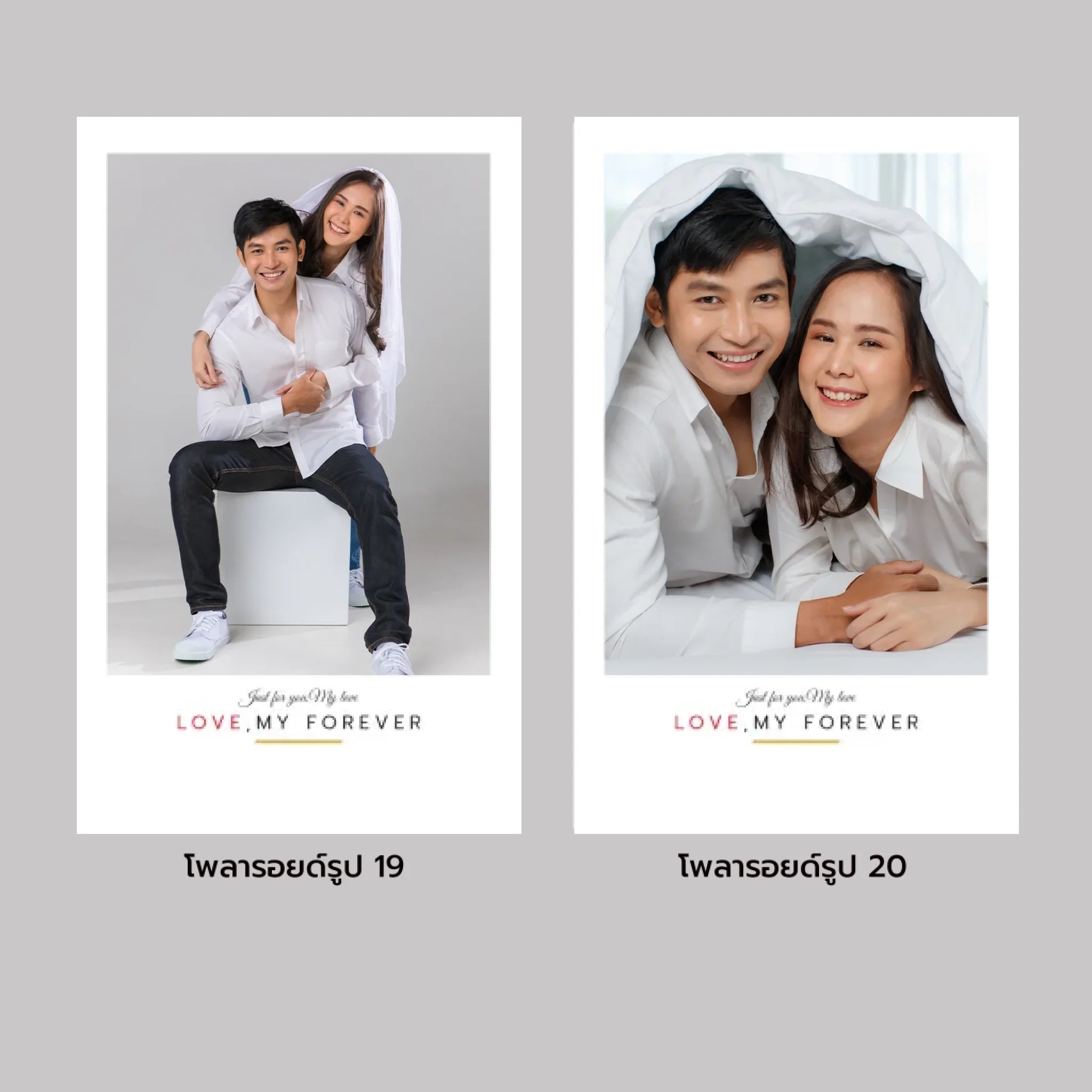 รูปโพลาลอยด์